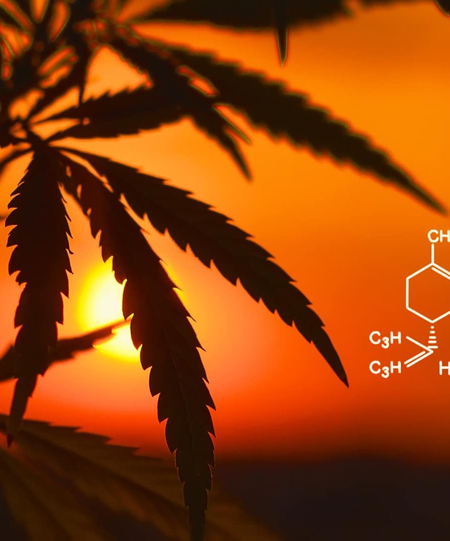 somPremCBDMain image