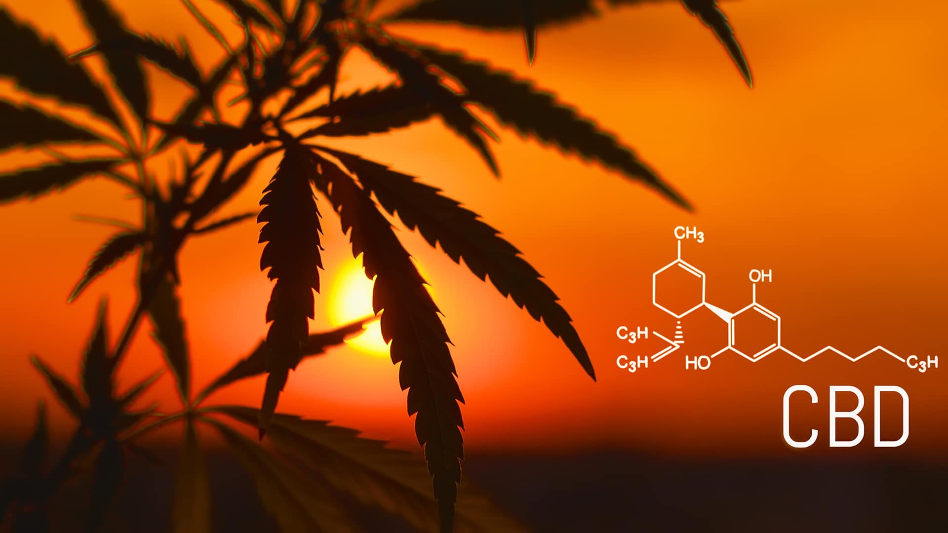 somPremCBDMain image